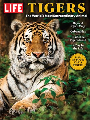 cover image of LIFE Tigers